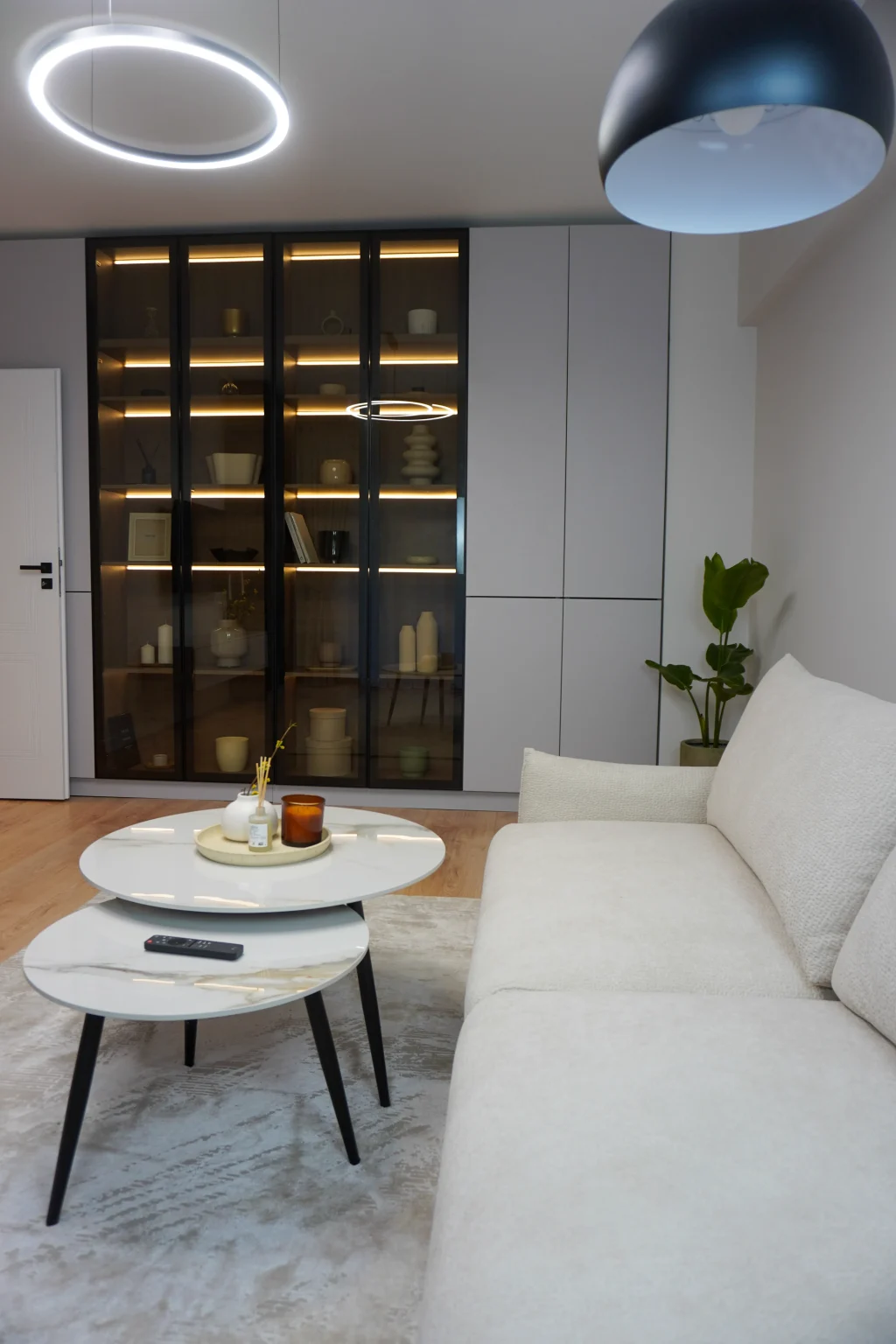 Interior amenajat Contemporan Homes