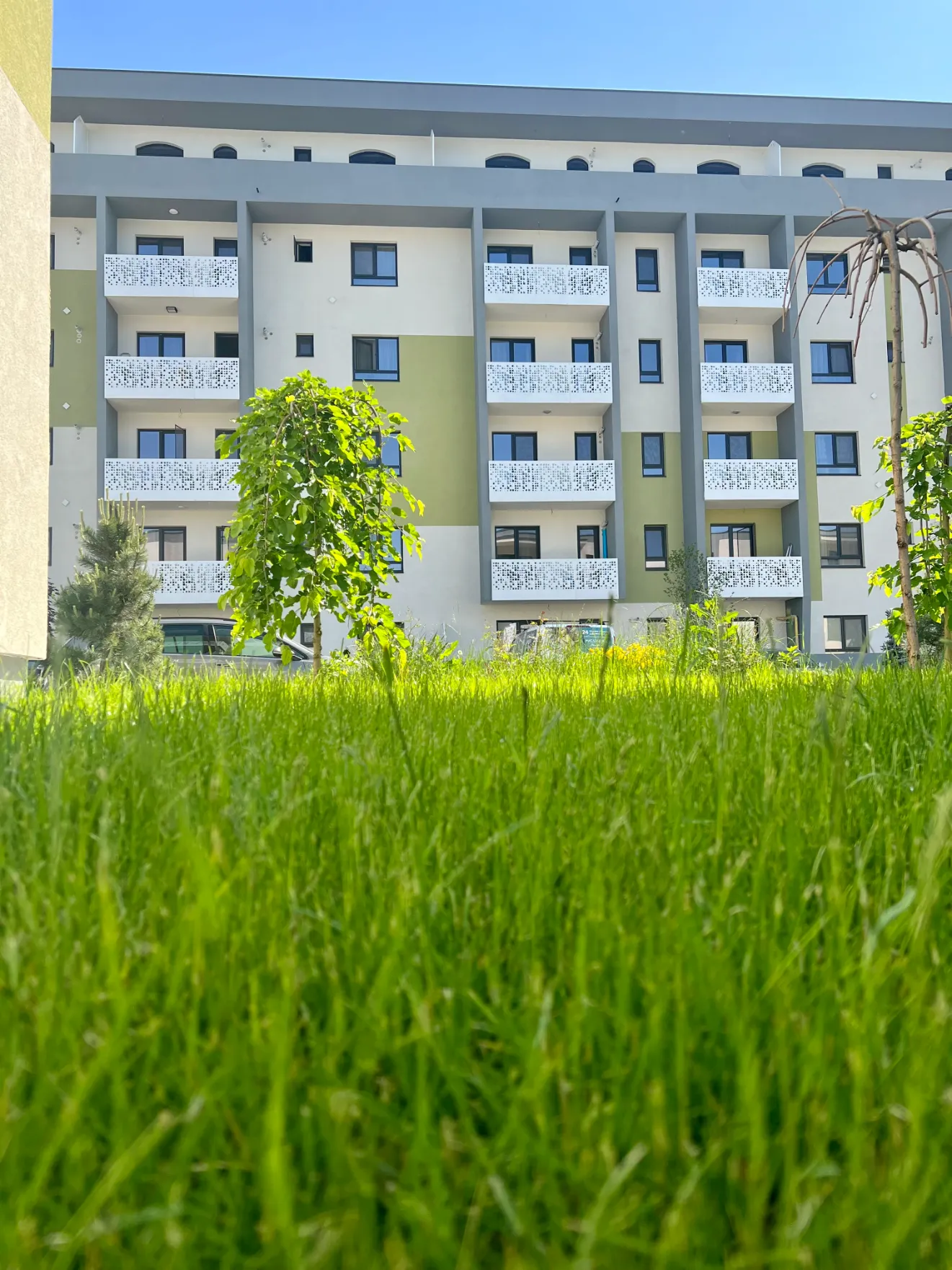 Spații verzi între blocurile Contemporan Homes