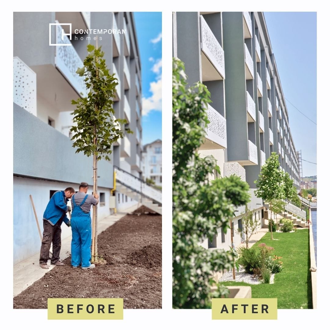 Contemporan Homes - evoluția proiectului - imaginea 2