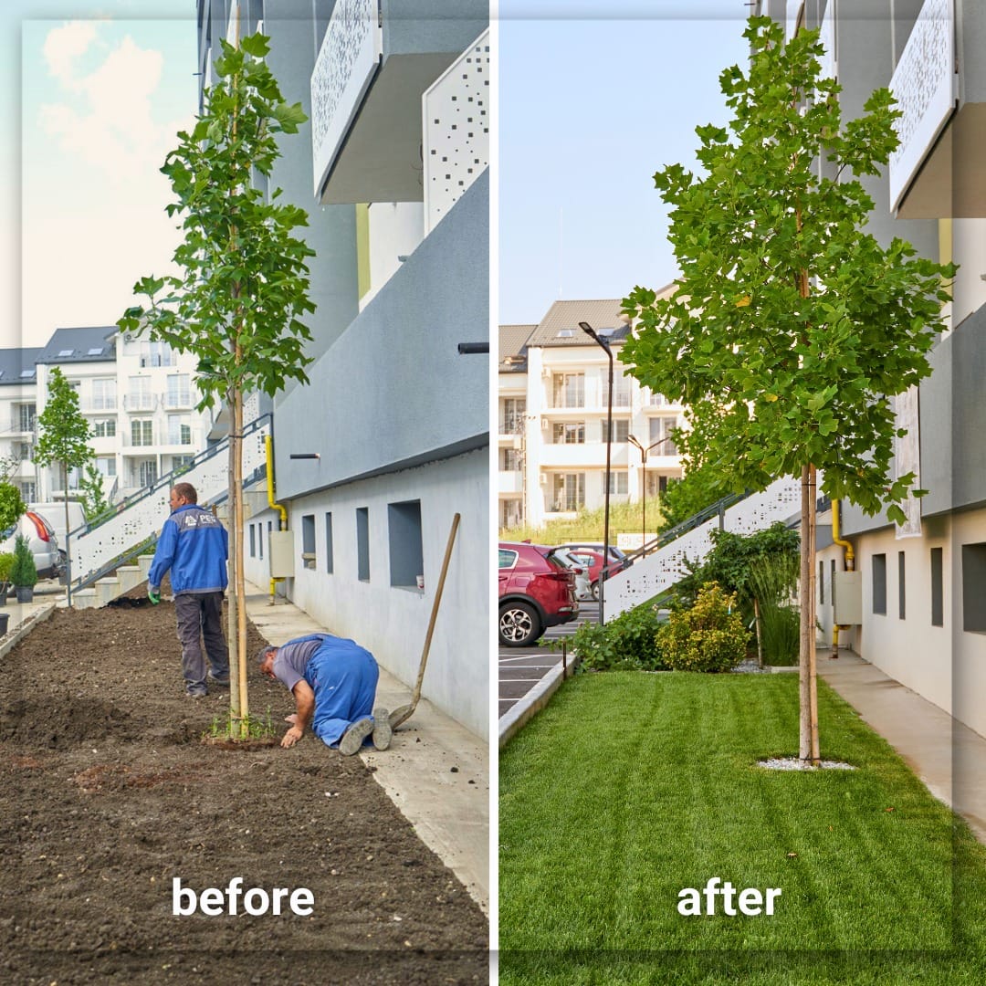Contemporan Homes - evoluția proiectului - imaginea 5